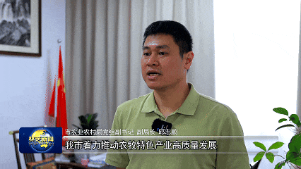 「辉煌60年·新时代西藏答卷」林芝：从边陲小城到雪域明珠 经济民生实现历史性跨越