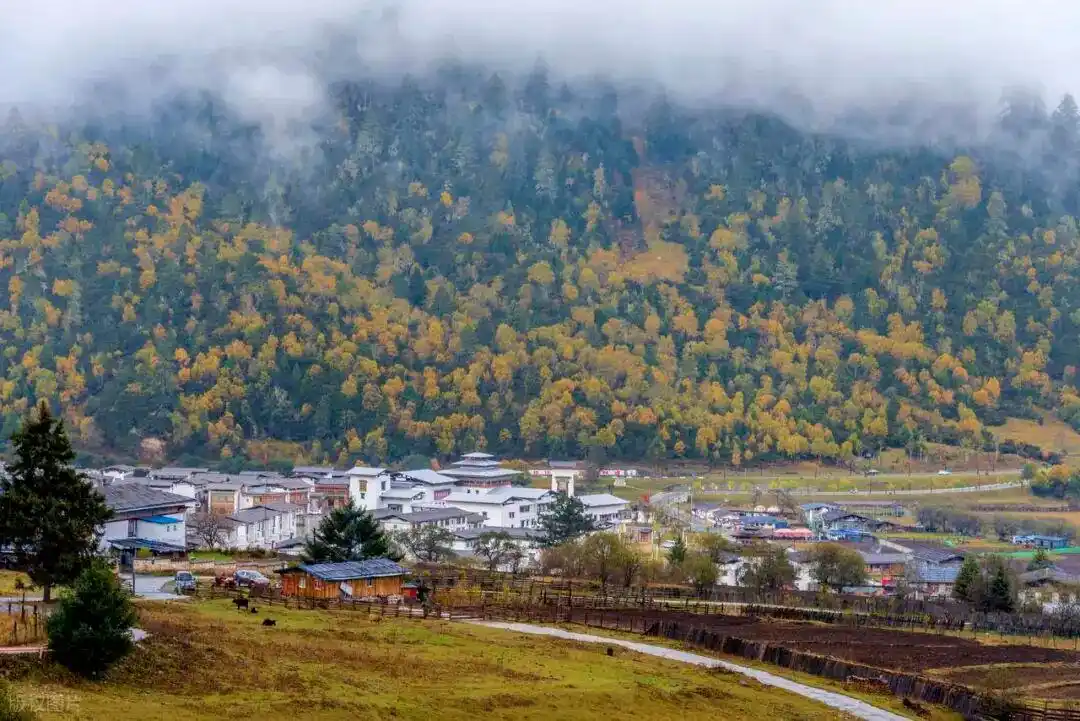 「90号公路」10月11月赏秋宝地：西藏-林芝-鲁朗林海