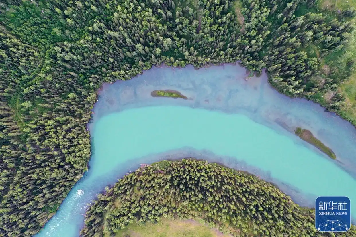 新疆喀纳斯景区进入旅游黄金期