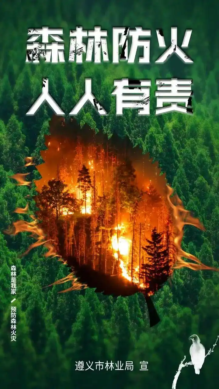 明起，遵义这个景点暂停对外开放！