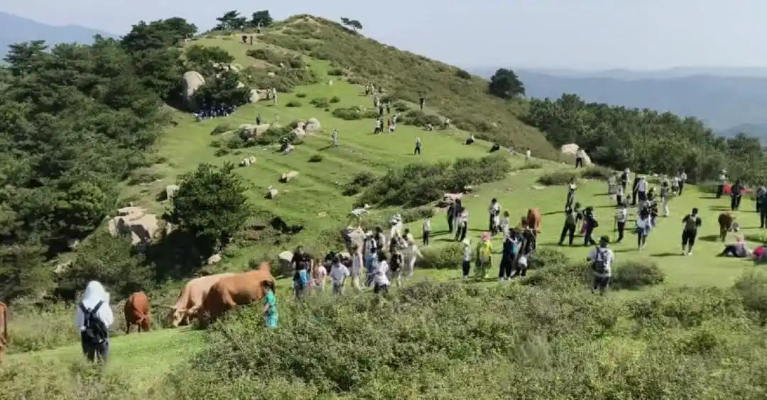 萝卜辣评｜“野生景点”走红之后，如何将“网红”变“长红”
