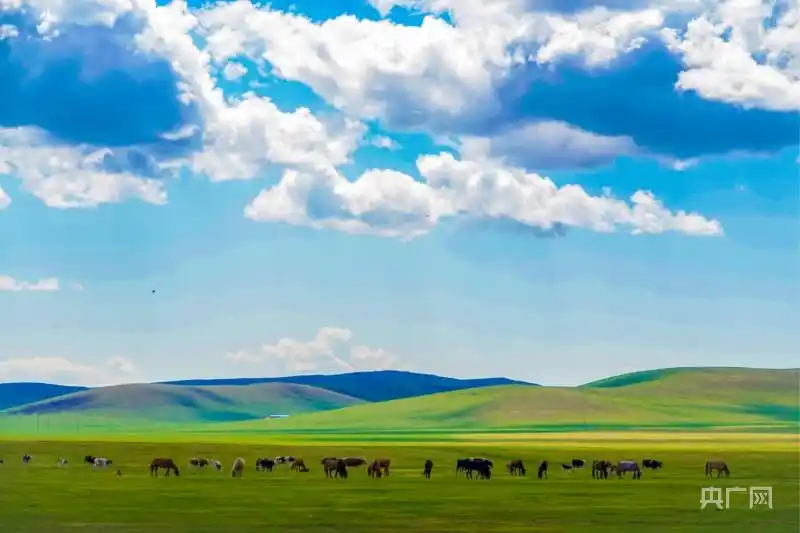 呼伦贝尔近1亿亩草原落实休牧政策