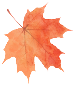 秋游河北悦山河｜2025石家庄秋冬“好玩儿”目的地清单发布！一起去嗨皮吧