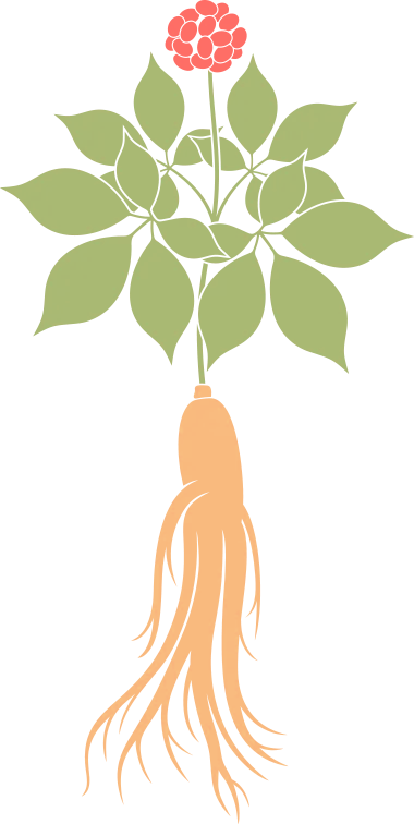 台胞游北京攻略（5）——美食推荐