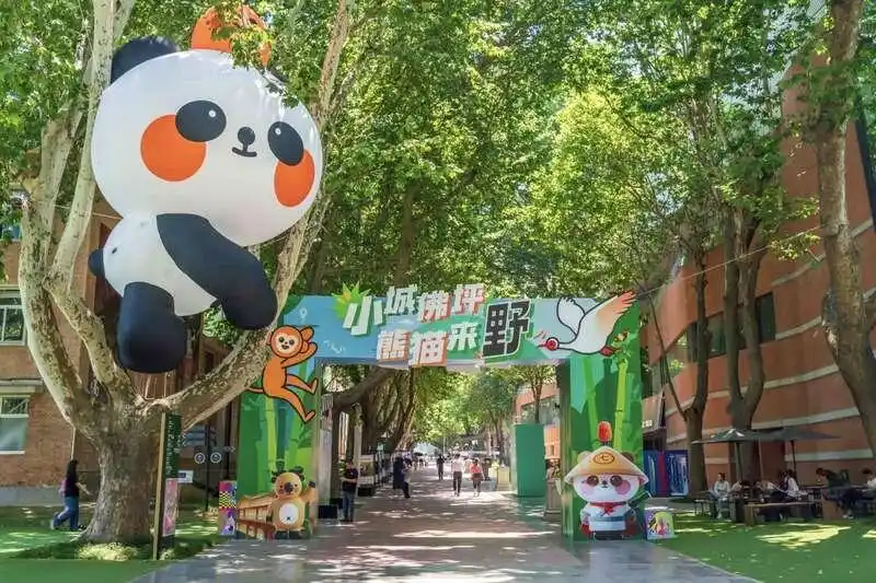 “萸+熊猫”来啦！阿里公益和佛坪政府发布区域公共品牌和旅游数字攻略