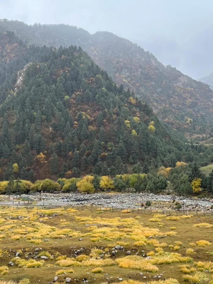 我的武威旅行日记 ‖ 武威旅游的体验感超好！假期正确决定√