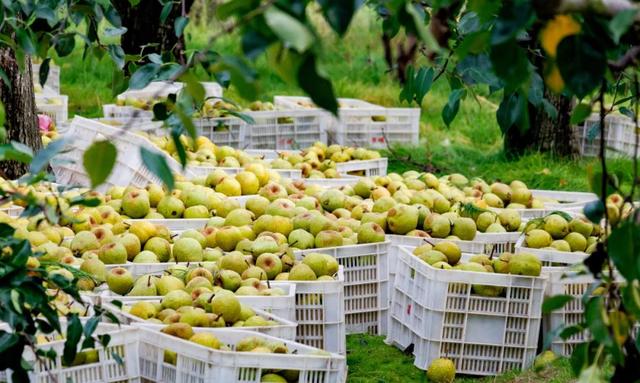 没有对手！烟台，现实中的“仙境之城”！