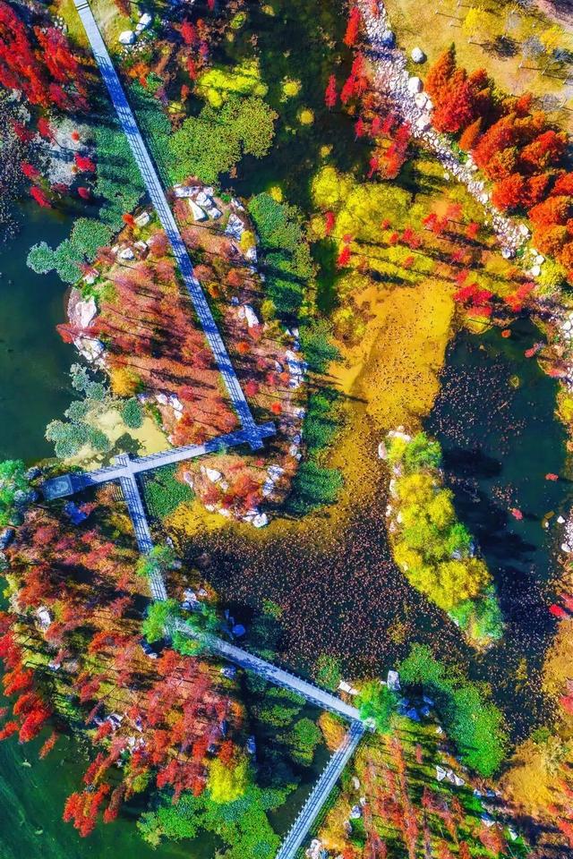 没有对手！烟台，现实中的“仙境之城”！