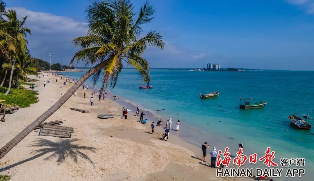 一路贯通都是风景！春节假期：环岛旅游公路成海南旅游新名片