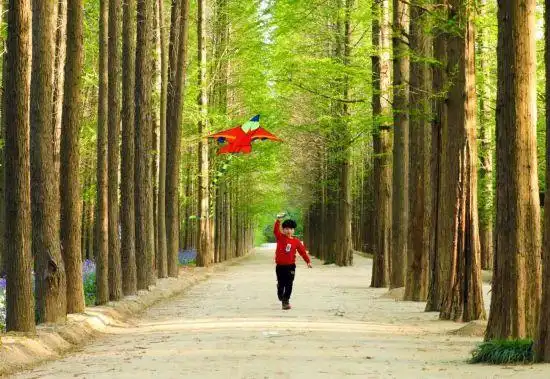 相约活力日照 畅享海滨体育旅游