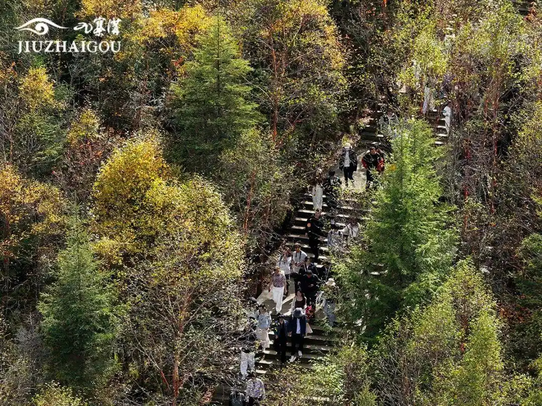 突破600万，九寨沟景区游客接待量创40年历史新高！本周末门票预订已达最大承载量