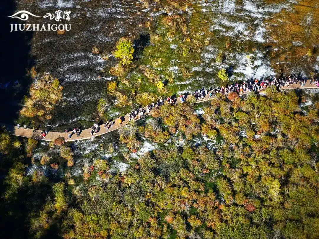 突破600万，九寨沟景区游客接待量创40年历史新高！本周末门票预订已达最大承载量