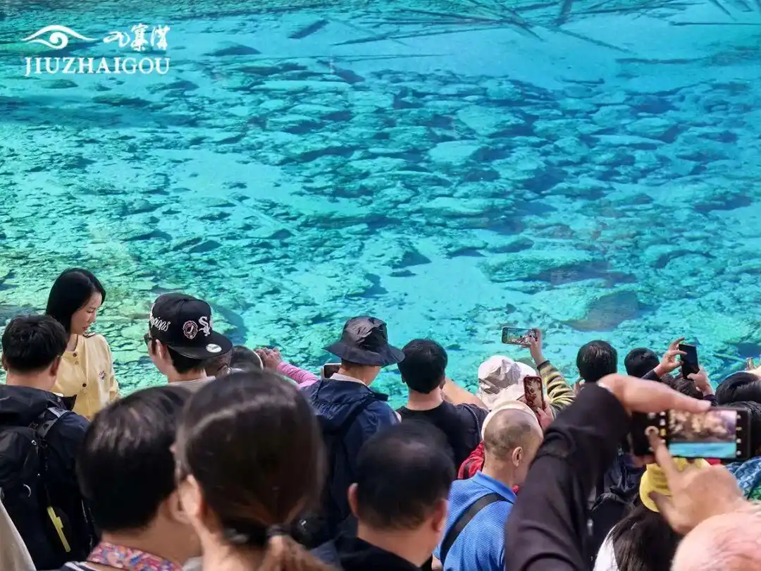 突破600万，九寨沟景区游客接待量创40年历史新高！本周末门票预订已达最大承载量