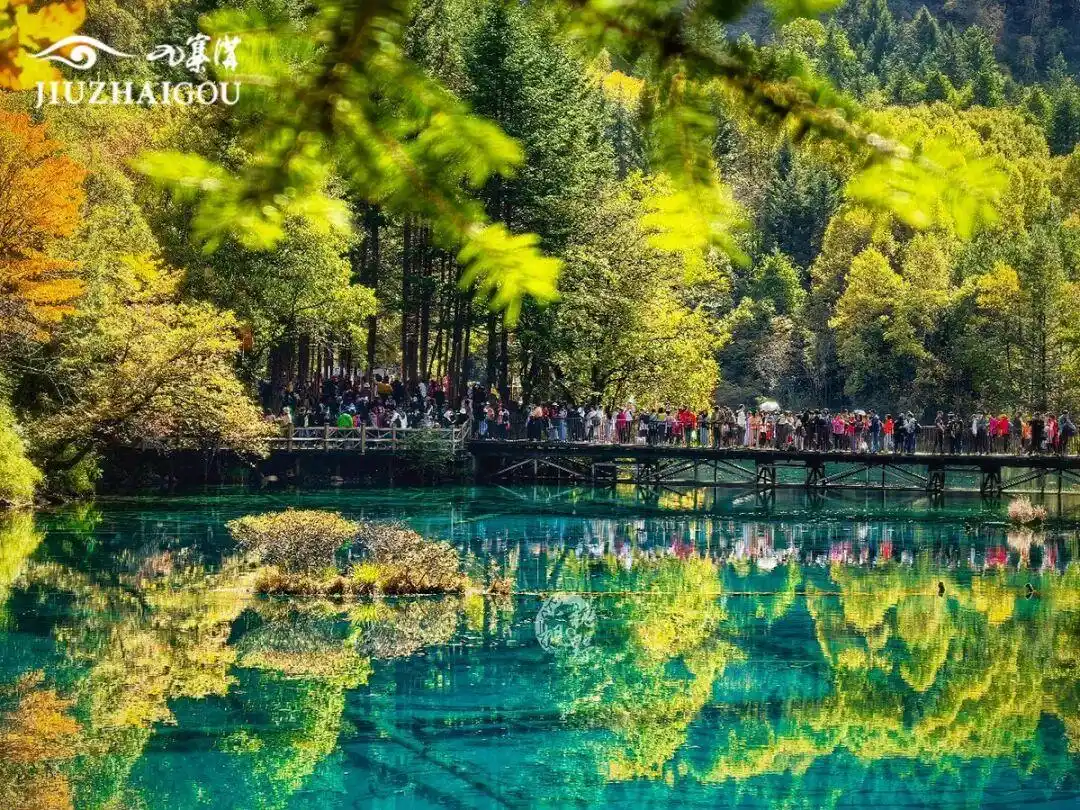 突破600万，九寨沟景区游客接待量创40年历史新高！本周末门票预订已达最大承载量