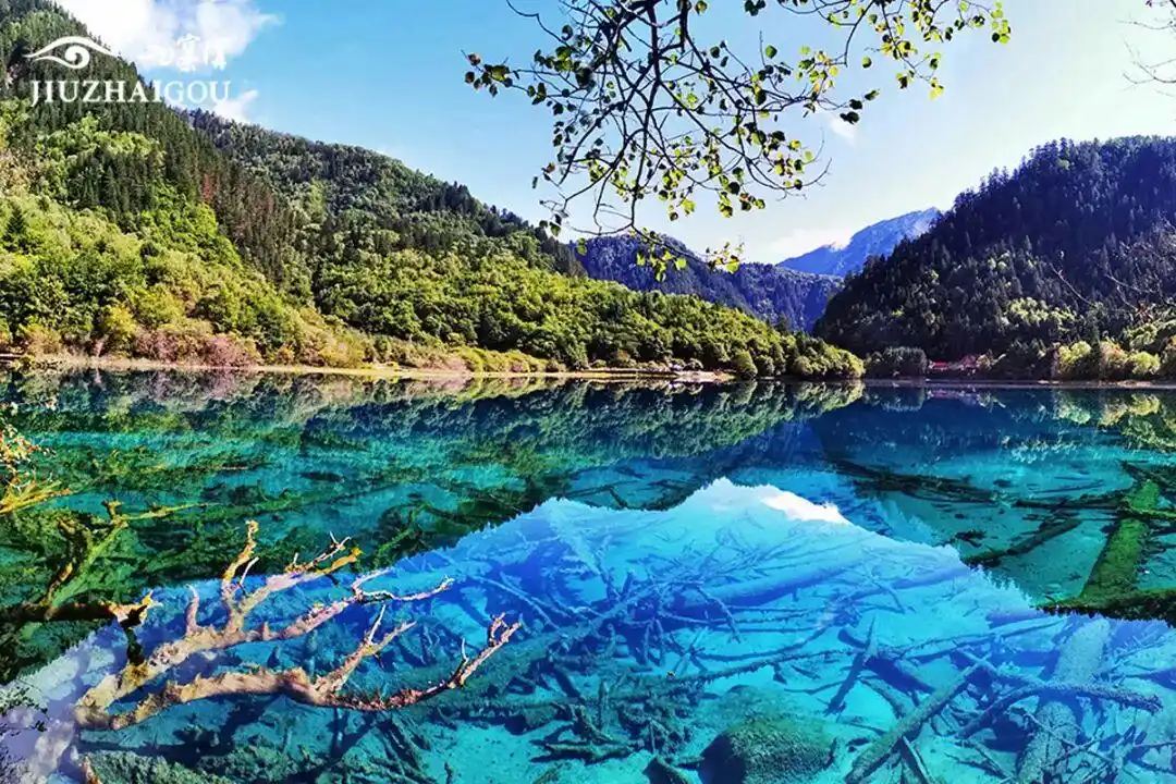 突破600万，九寨沟景区游客接待量创40年历史新高！本周末门票预订已达最大承载量