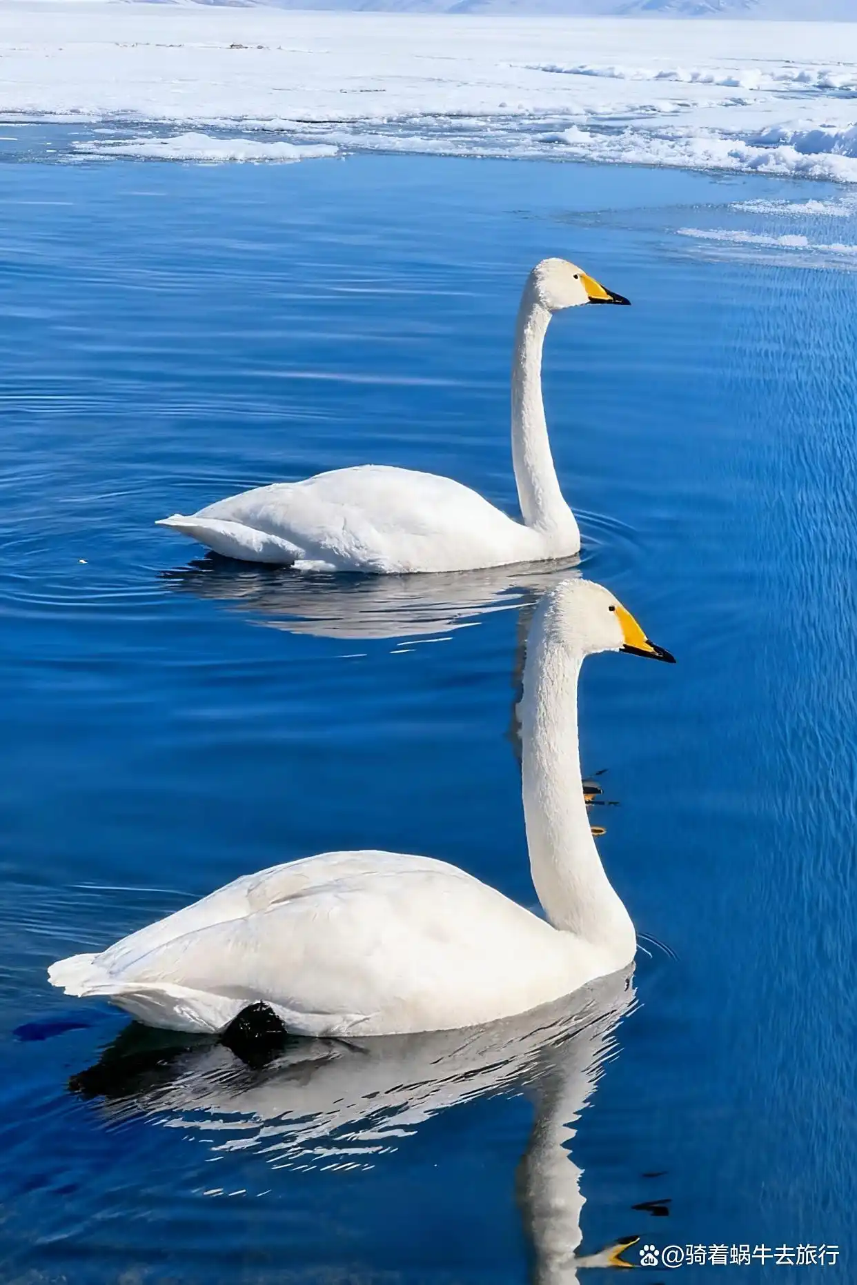 冬季的赛里木湖直接封神了！