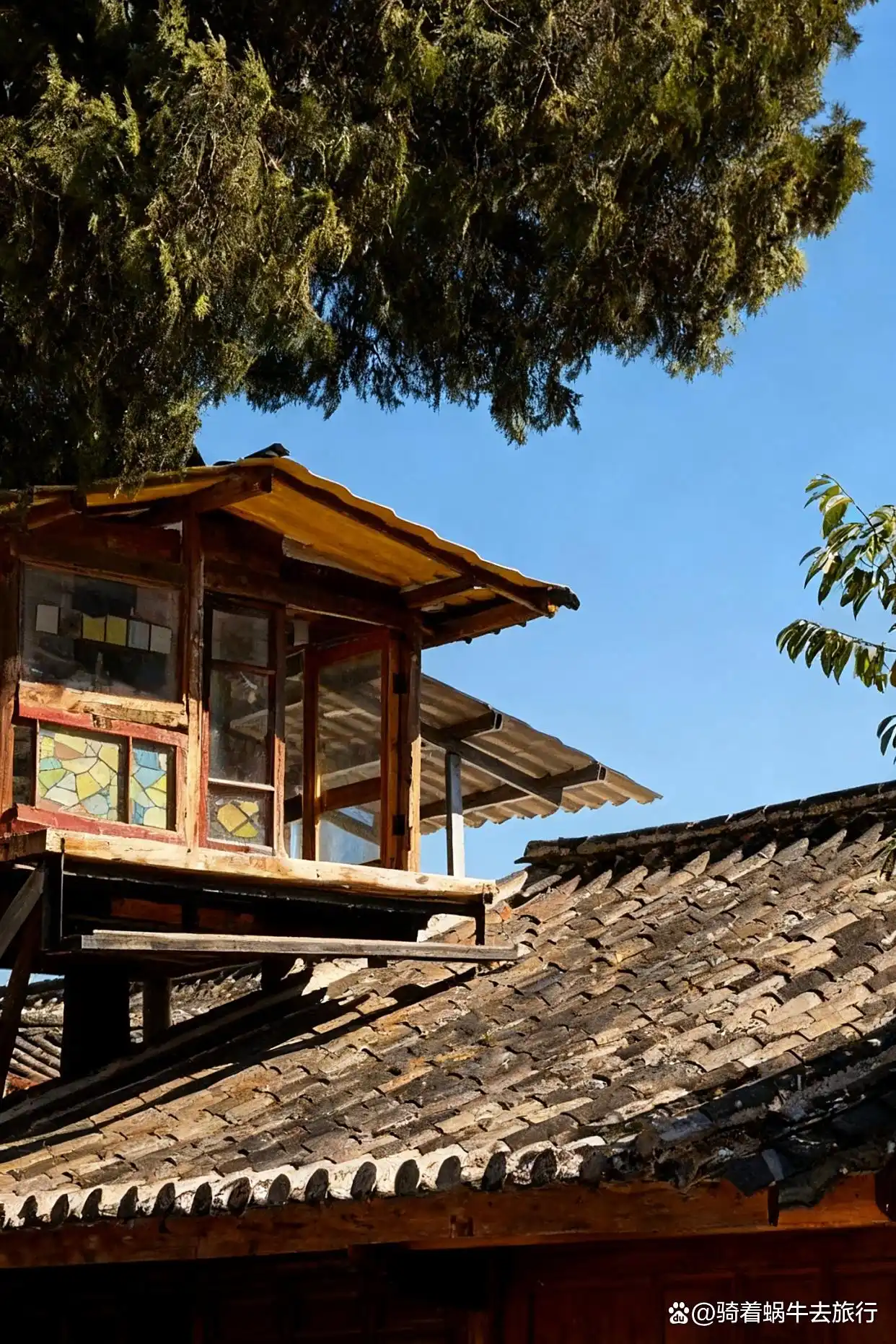 比起喜洲古镇，我更爱这个低调又惊艳的……