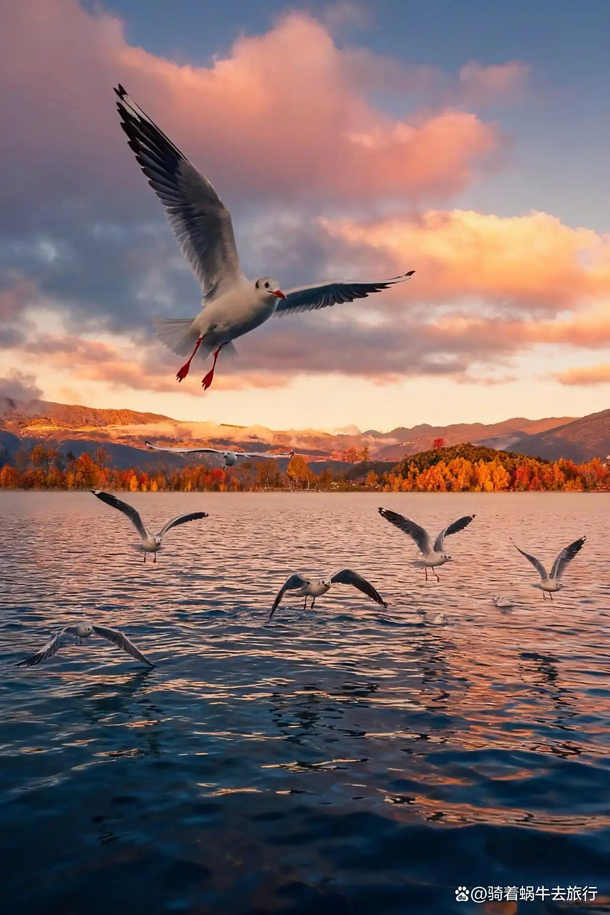 接下来的泸沽湖，美若人间遗落的仙境！