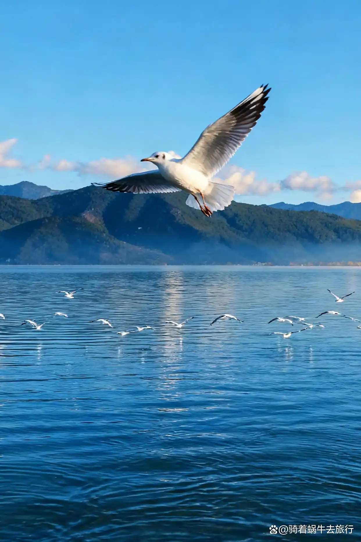 接下来的泸沽湖，美若人间遗落的仙境！