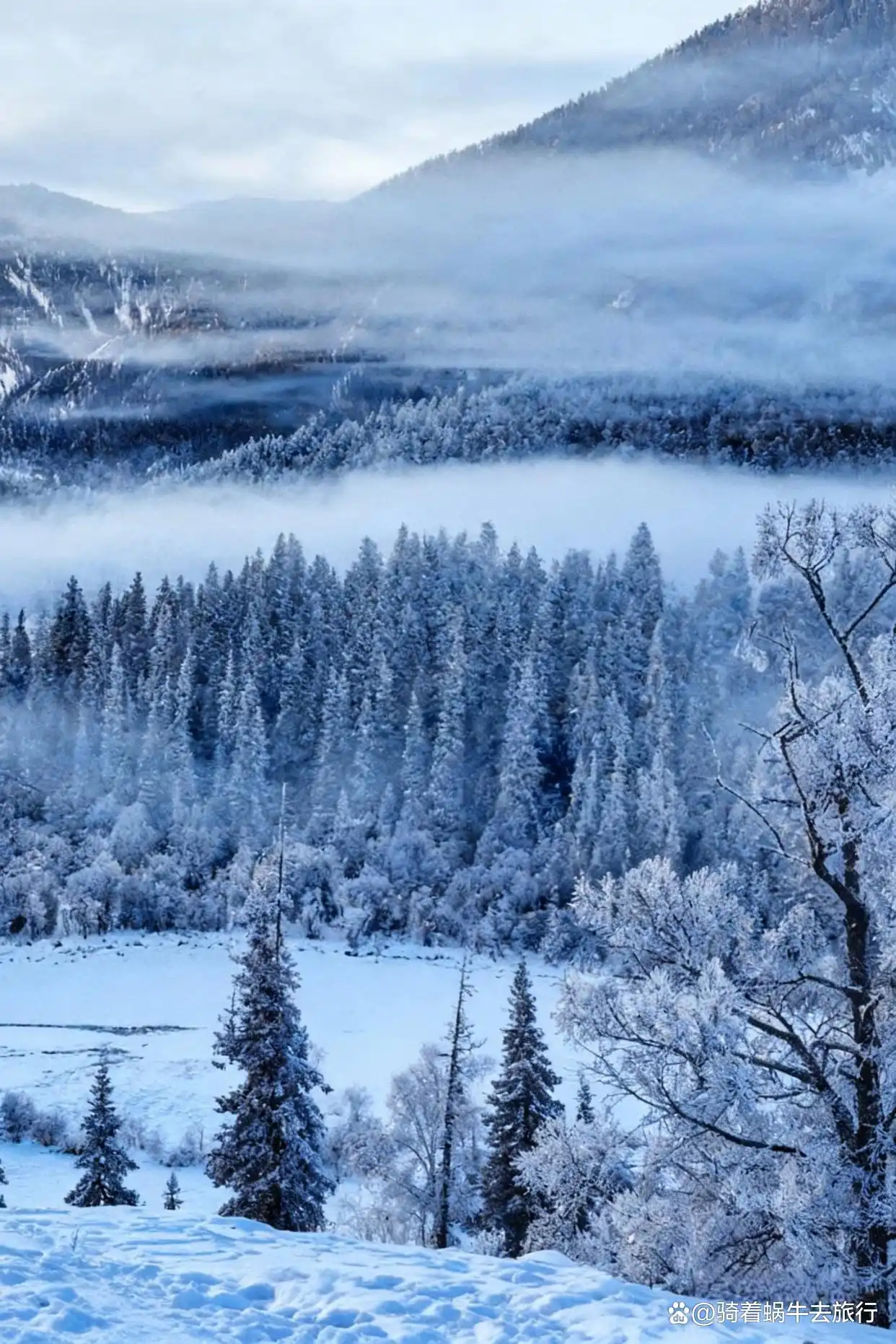 冬天的阿勒泰️，满足了我对童话世界的所有想象～
