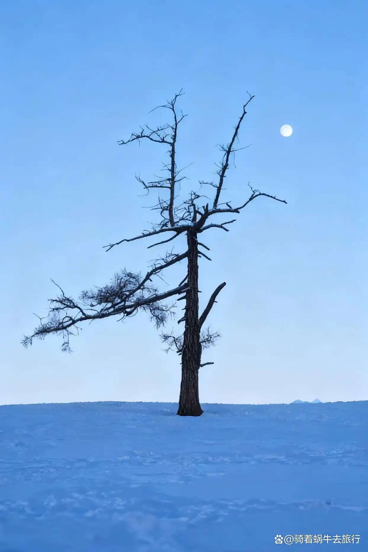 冬天的阿勒泰️，满足了我对童话世界的所有想象～