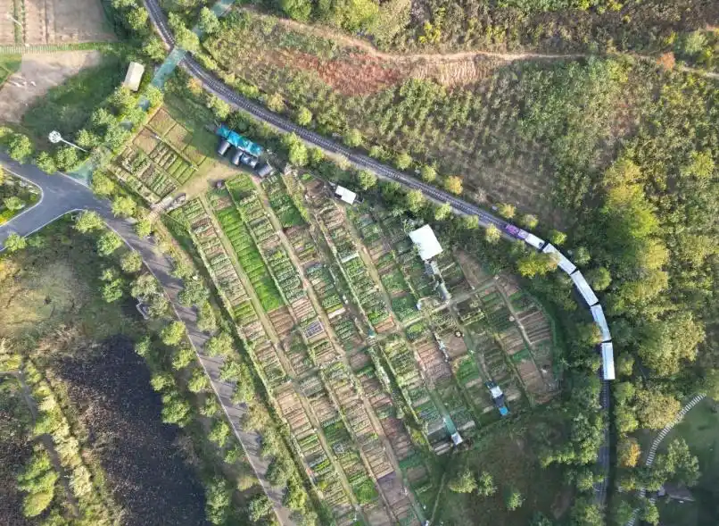 武汉一4A级景区出租智慧菜地：可在线看田，一键远程浇水，一家人都免门票