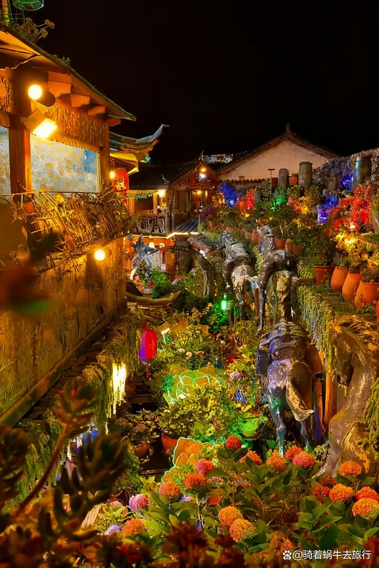 丽江，真的特别值得去一次！