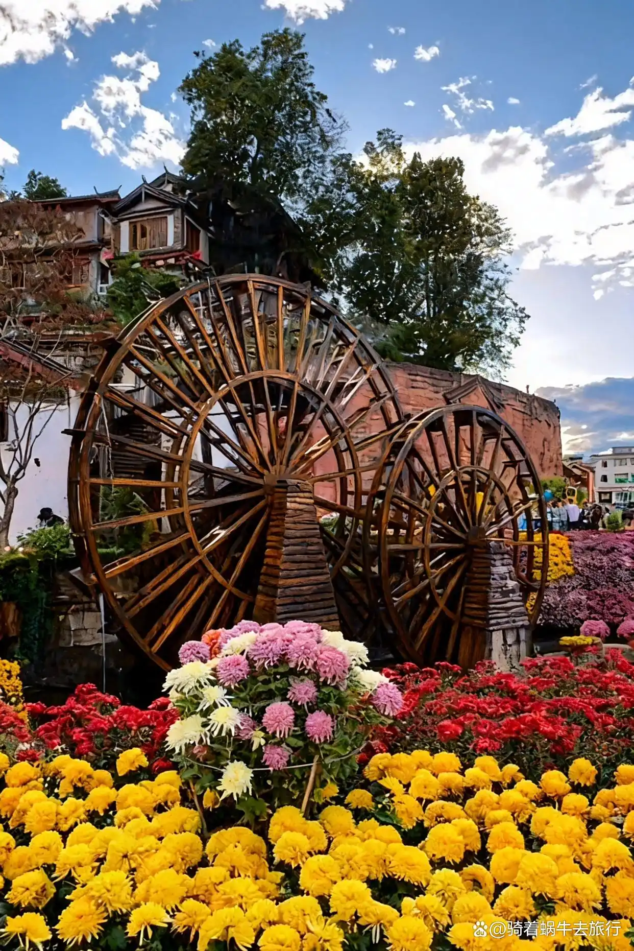 丽江，真的特别值得去一次！