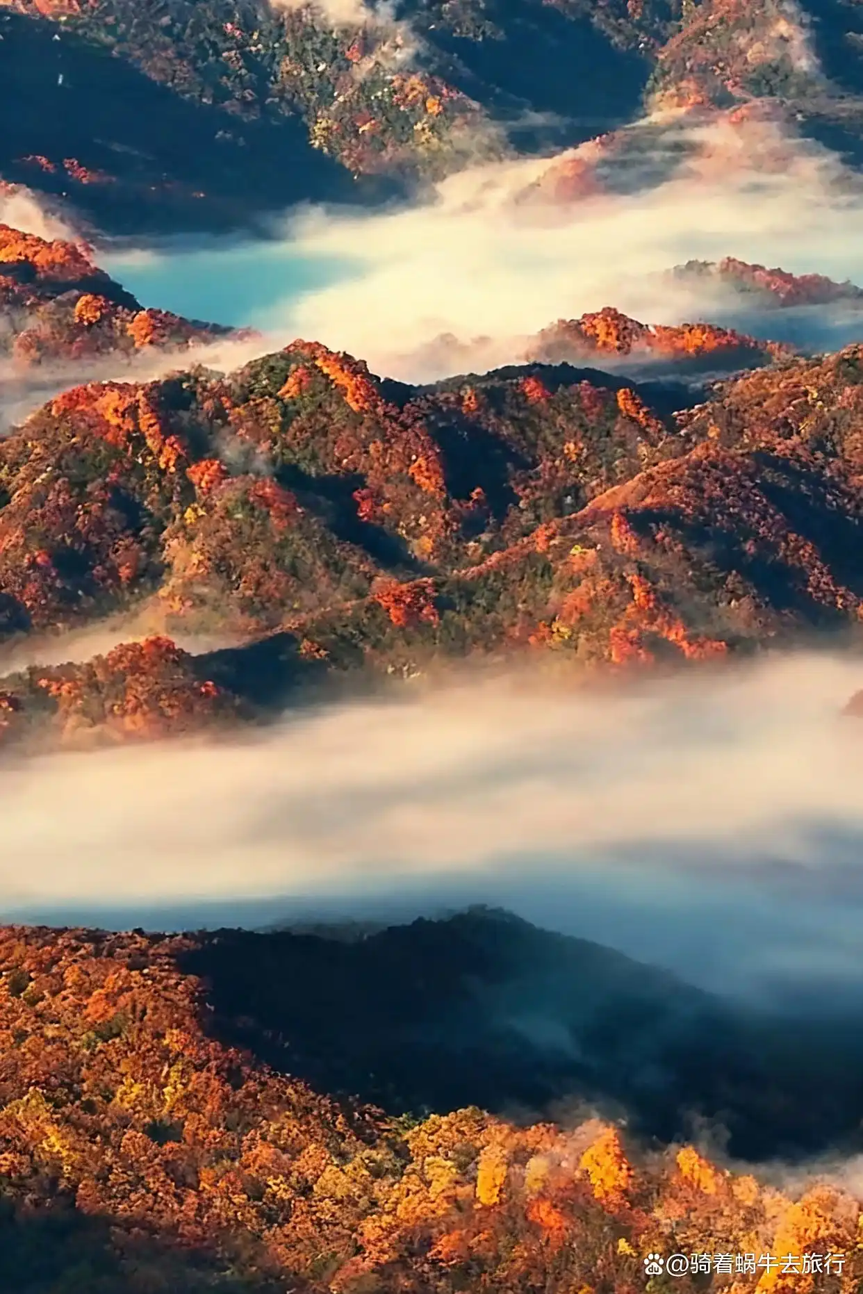 救命！光雾山的秋天真的美哭我了～