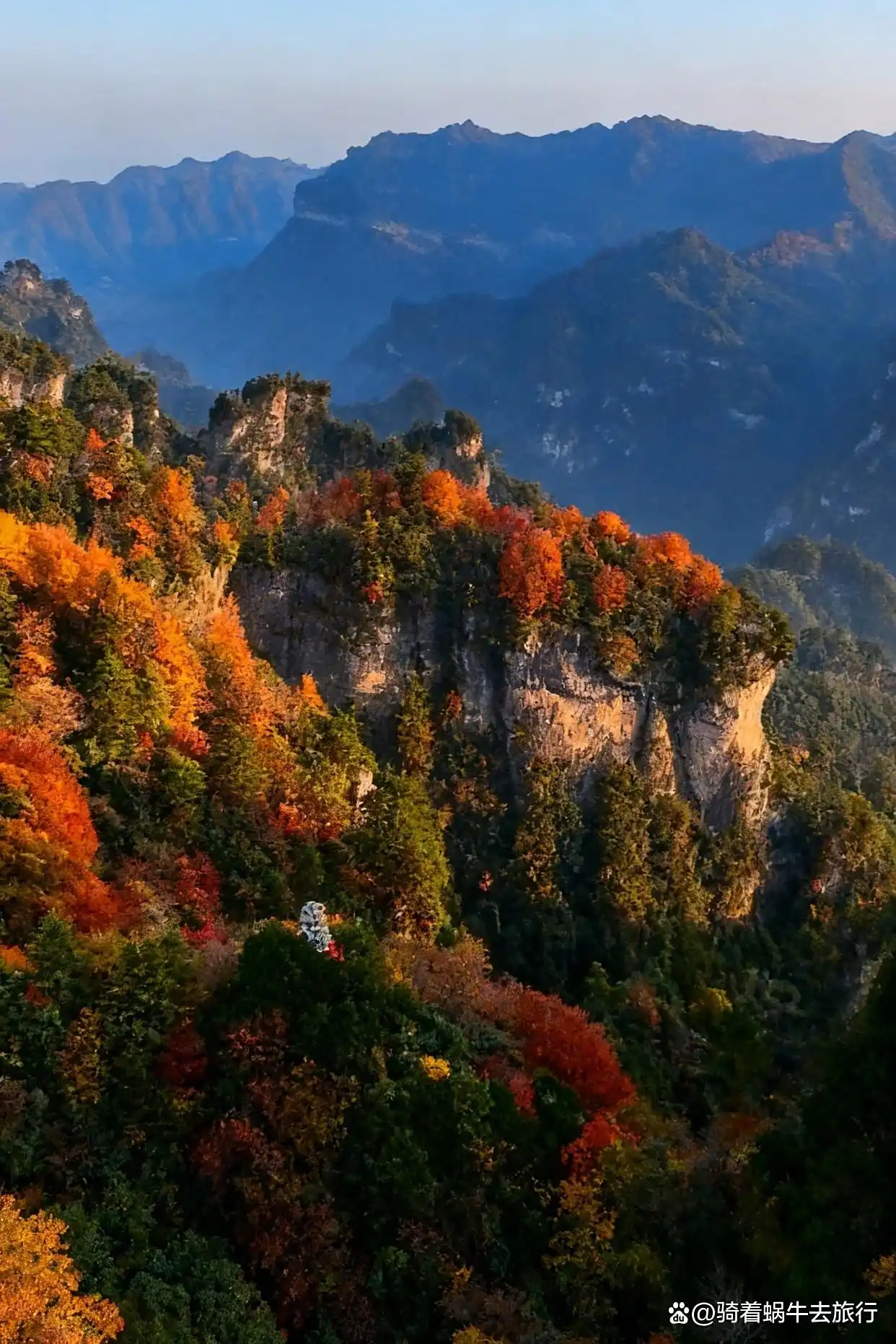 救命！光雾山的秋天真的美哭我了～