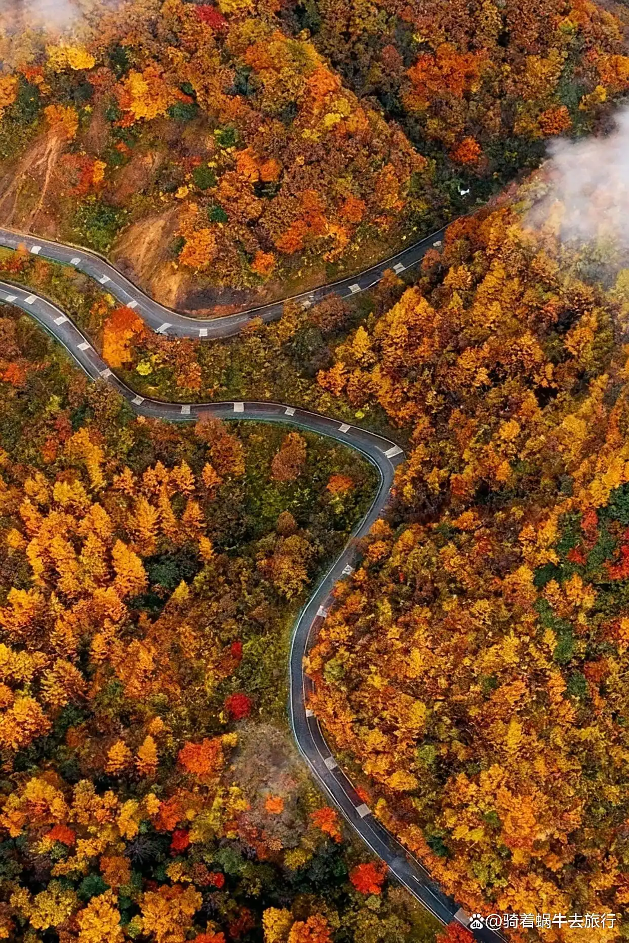 救命！光雾山的秋天真的美哭我了～