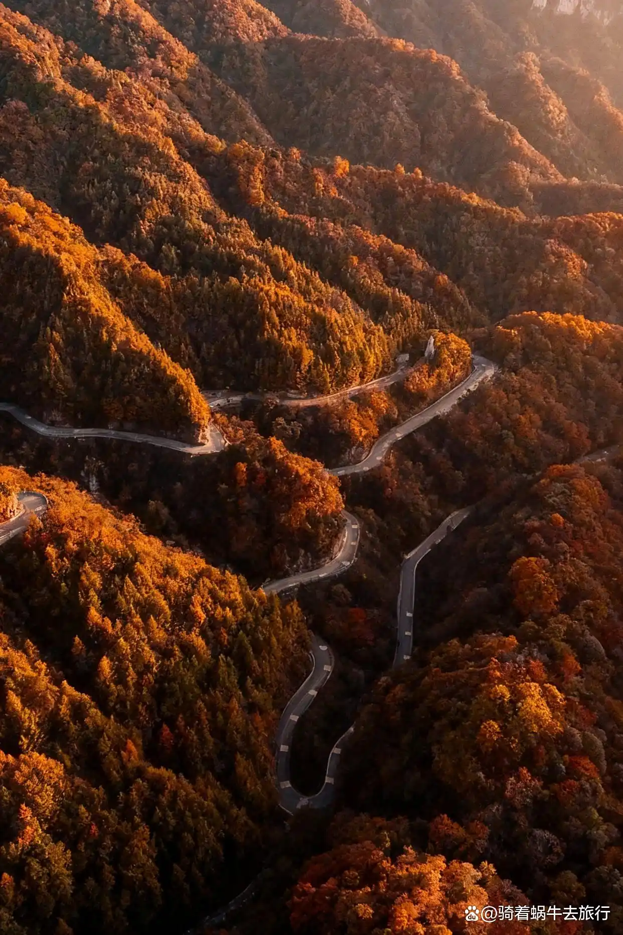 救命！光雾山的秋天真的美哭我了～