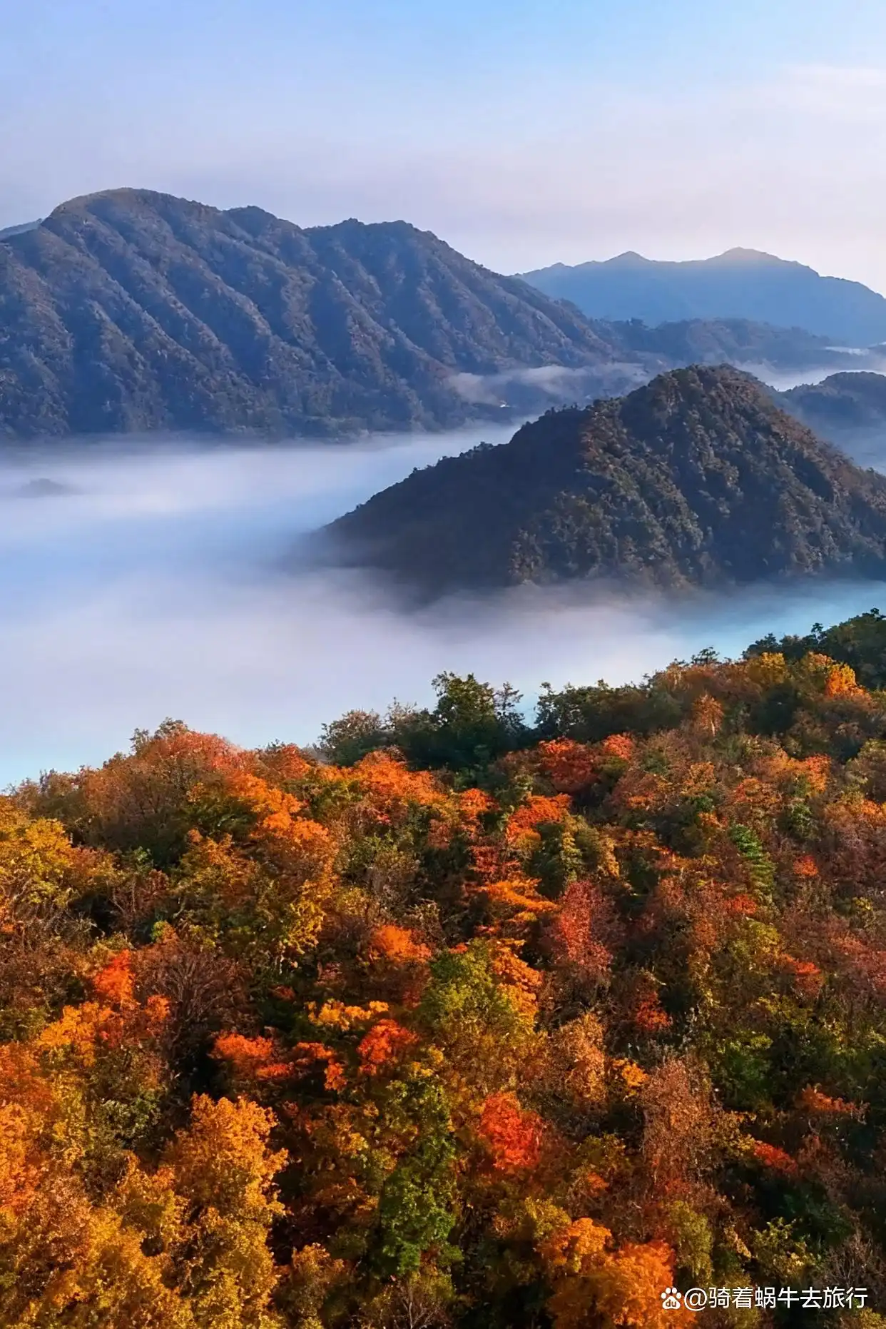 救命！光雾山的秋天真的美哭我了～
