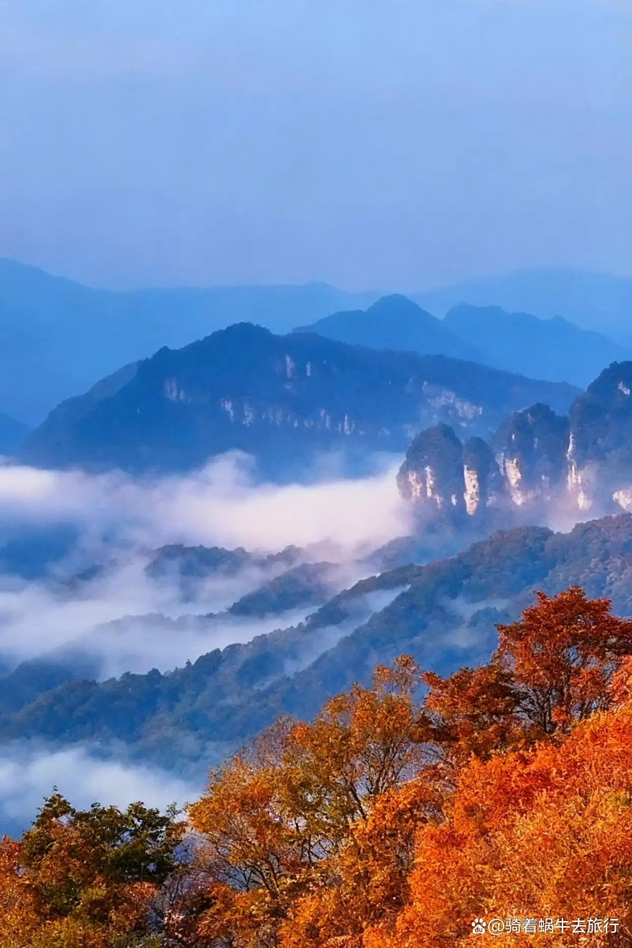 救命！光雾山的秋天真的美哭我了～