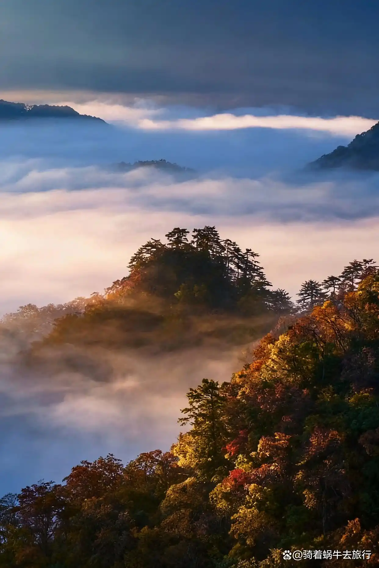救命！光雾山的秋天真的美哭我了～