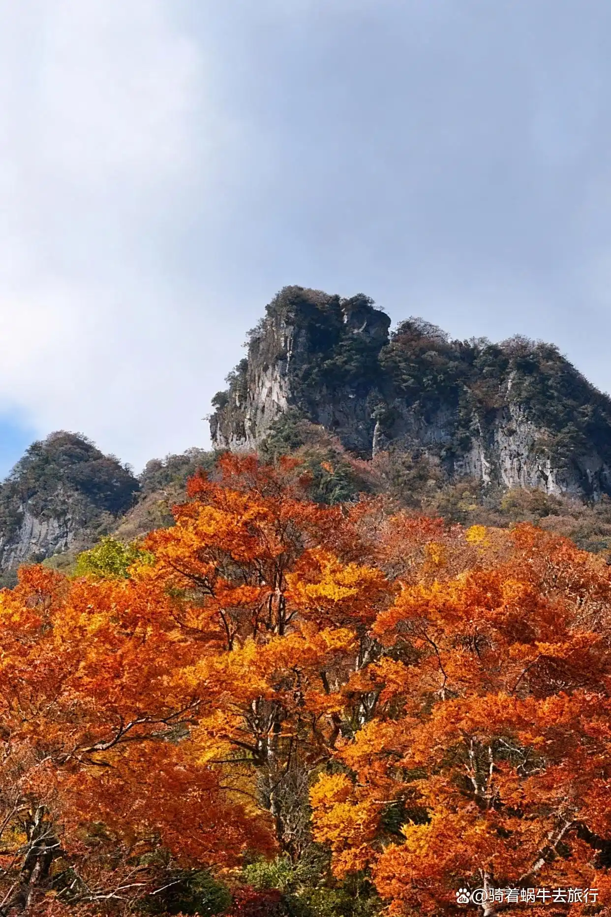 救命！光雾山的秋天真的美哭我了～