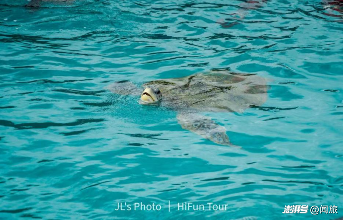 在马来西亚小众海岛上躺平，我们挖到宝了