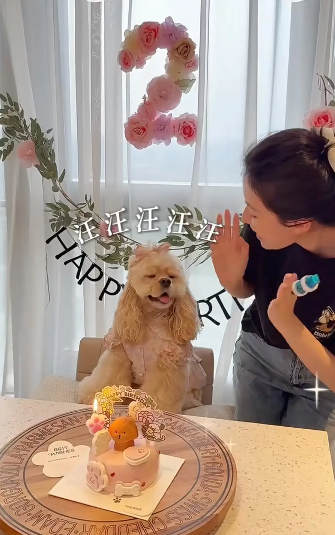 乔欣南非旅游回国，老公赖柏霖带狗游泳好温柔，豪宅带泳池很奢华