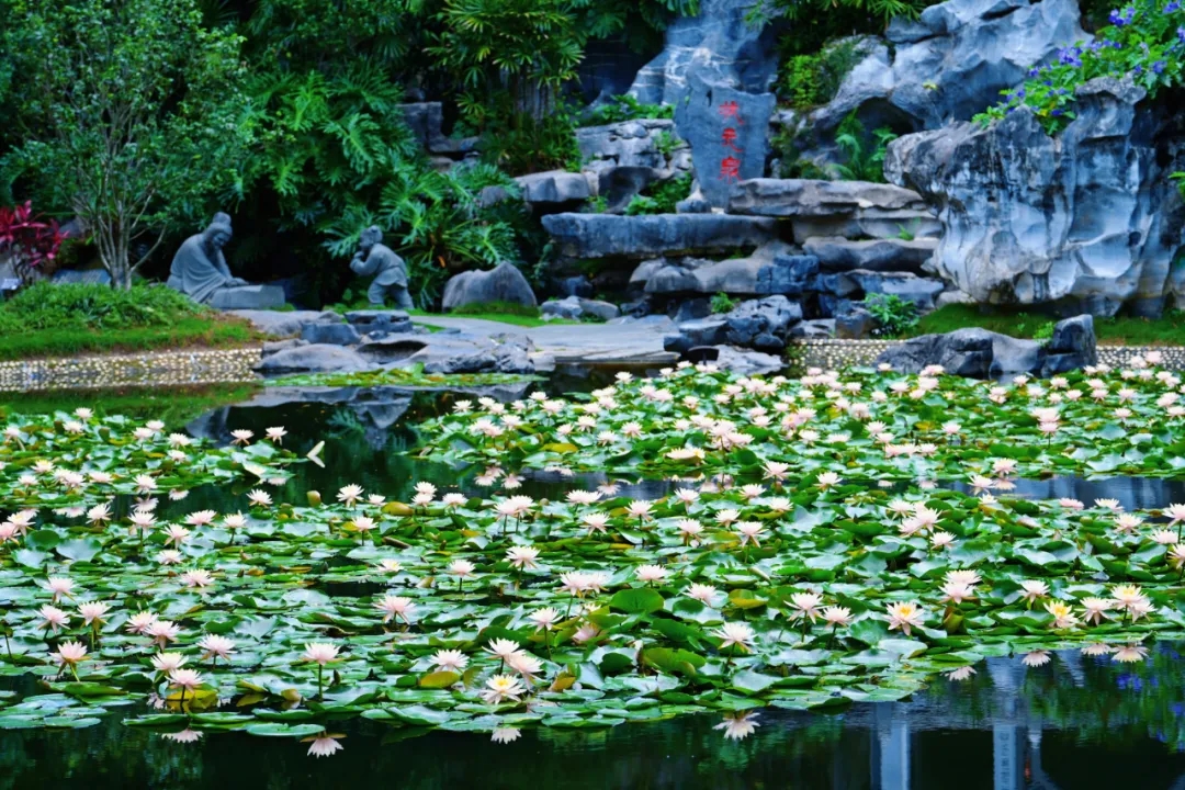 重阳节登高正当时！广西这些赏秋地，视野绝了！