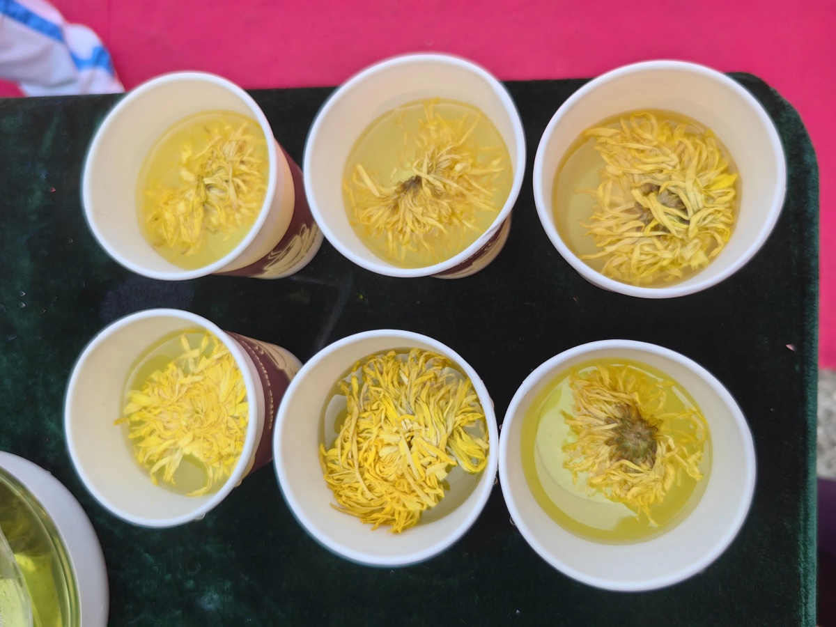 重阳节登高正当时！广西这些赏秋地，视野绝了！