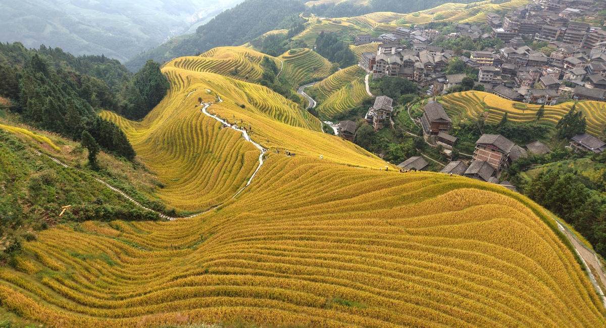 重阳节登高正当时！广西这些赏秋地，视野绝了！