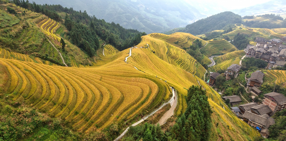 重阳节登高正当时！广西这些赏秋地，视野绝了！