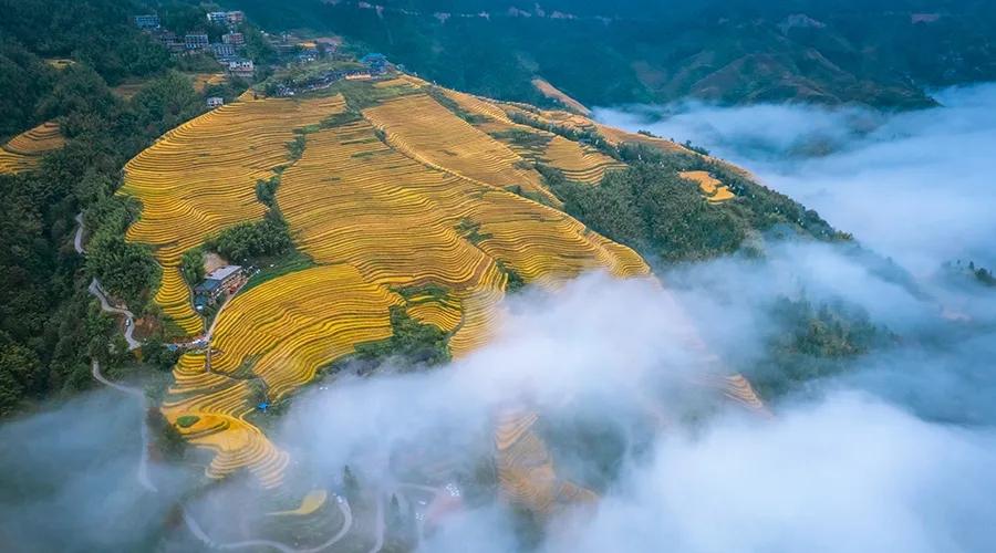 重阳节登高正当时！广西这些赏秋地，视野绝了！