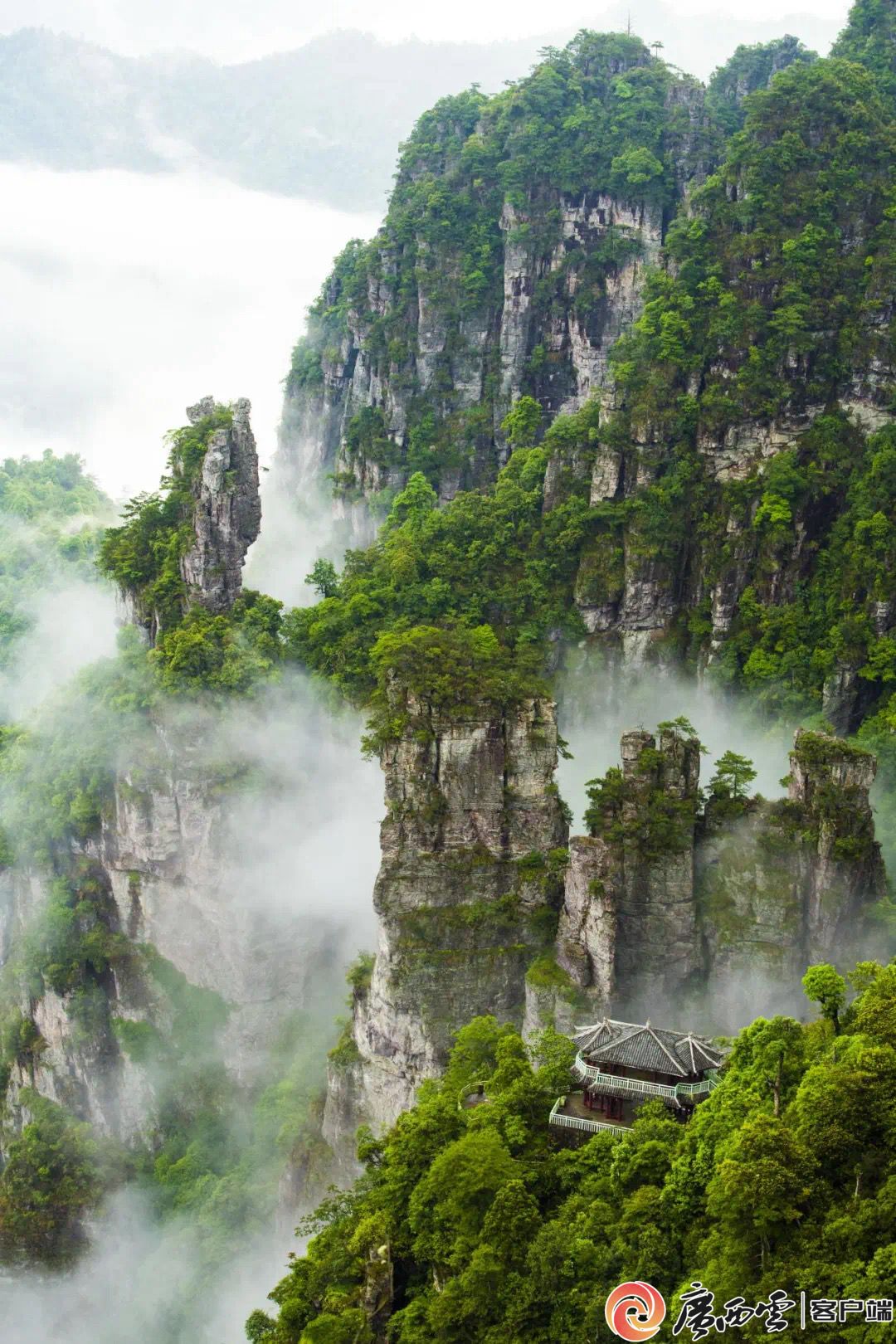 重阳节登高正当时！广西这些赏秋地，视野绝了！