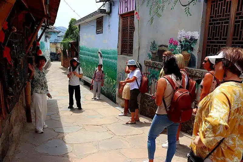 南非考察团“沉浸式”体验中国民俗！古槐路探秘→秧歌狂欢→茶山慢生活