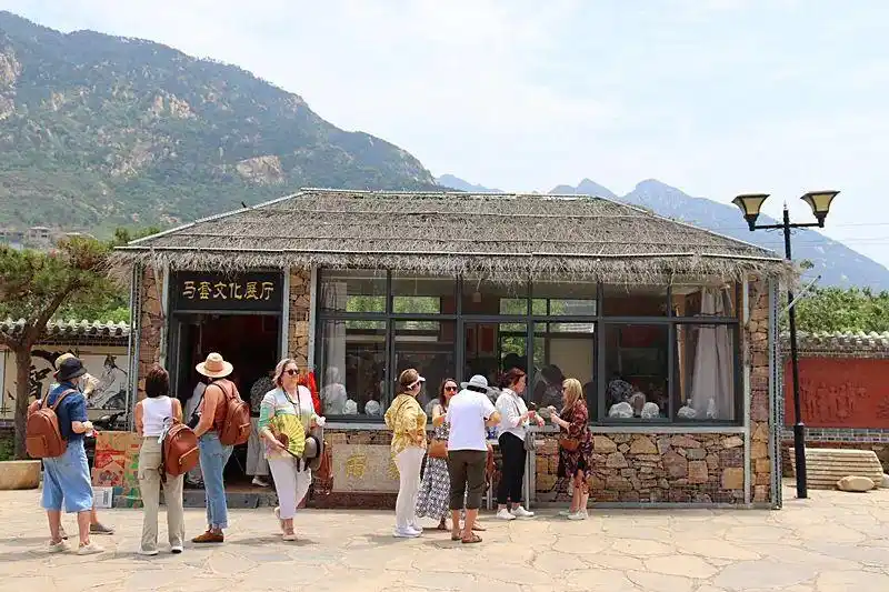 南非考察团“沉浸式”体验中国民俗！古槐路探秘→秧歌狂欢→茶山慢生活