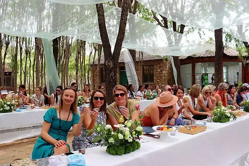 南非考察团“沉浸式”体验中国民俗！古槐路探秘→秧歌狂欢→茶山慢生活