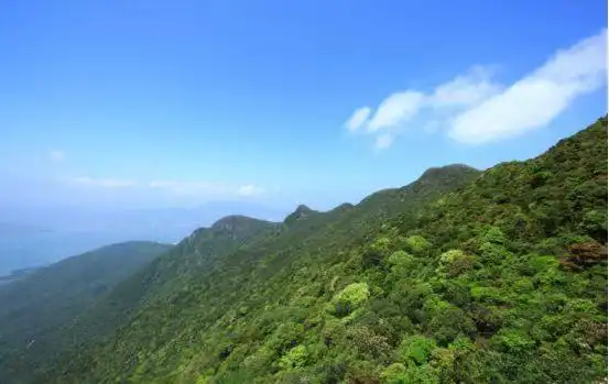 接连发生徒步者失踪 深圳大鹏地质公园：野景点危机四伏