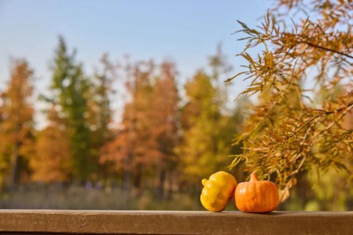长沙这些小众景点被严重低估了，人少景美还免费，看看你去过几个
