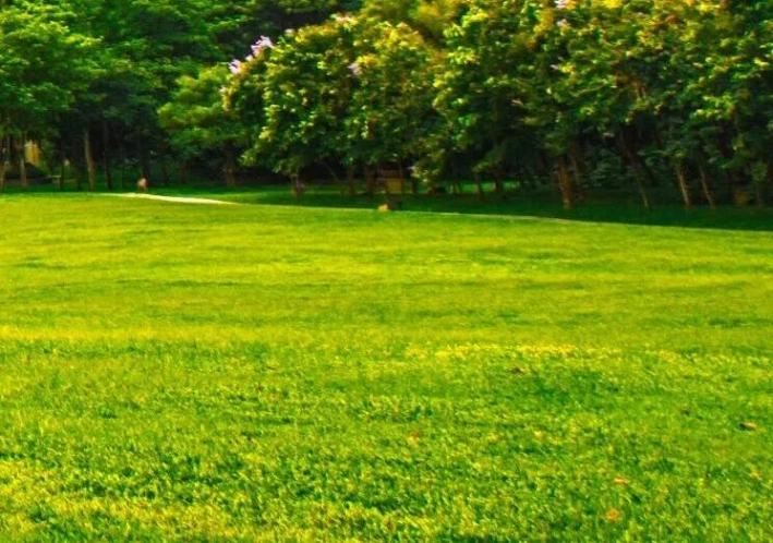 长沙这些小众景点被严重低估了，人少景美还免费，看看你去过几个